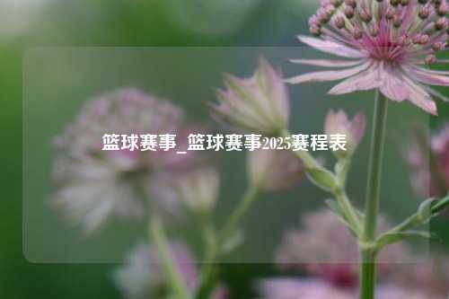 篮球赛事_篮球赛事2025赛程表